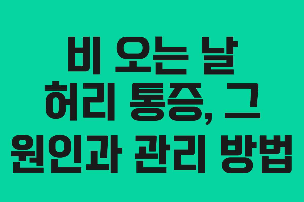 비 오는 날 허리 통증, 그 원인과 관리 방법