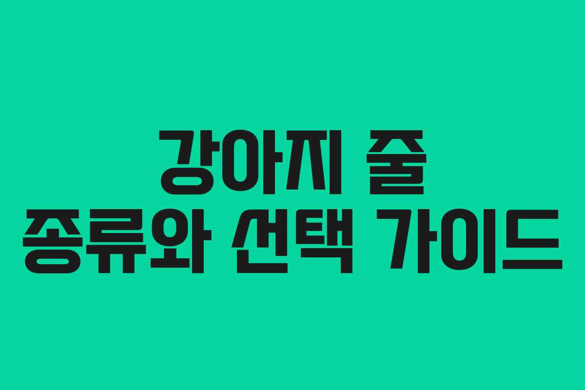 강아지 줄 종류와 선택 가이드