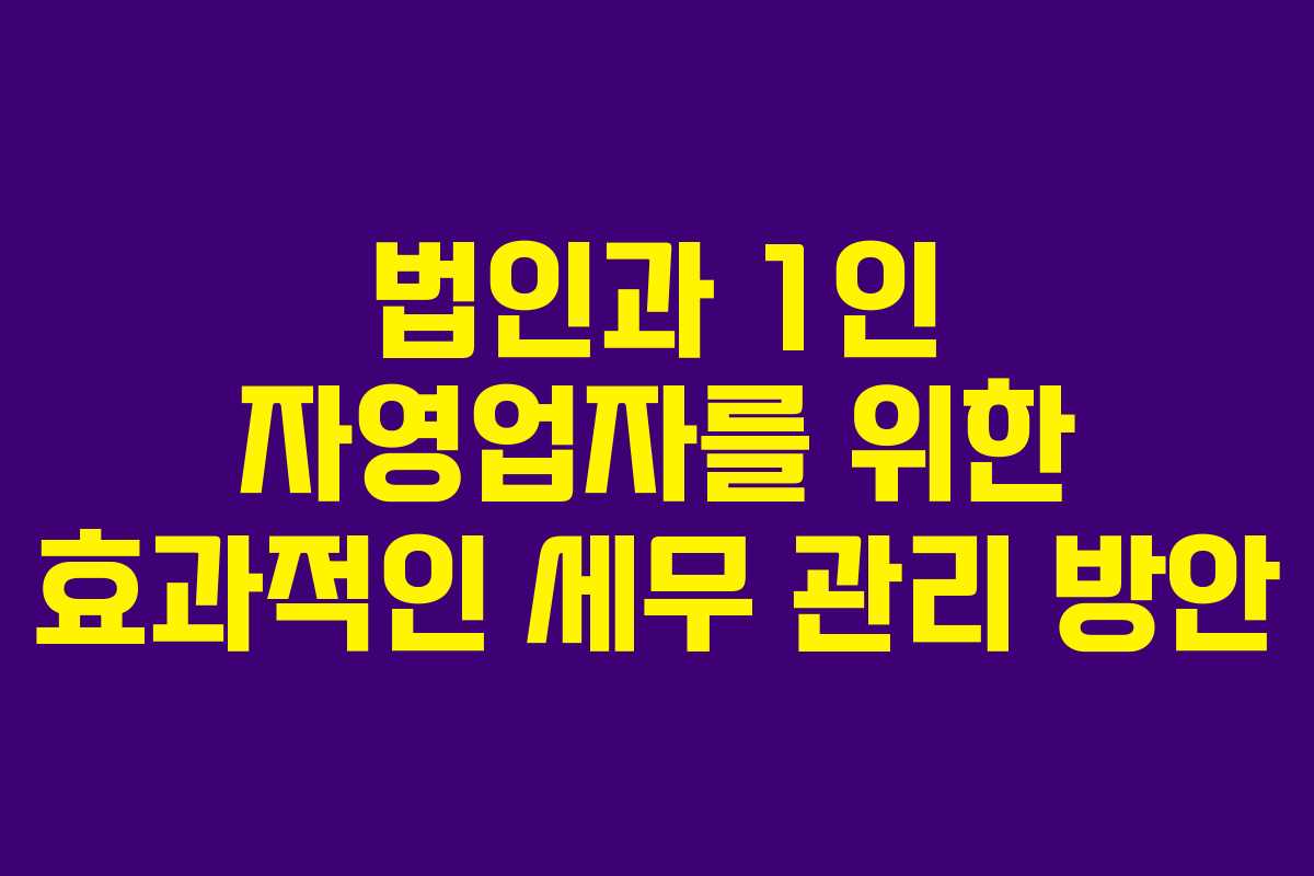 법인과 1인 자영업자를 위한 효과적인 세무 관리 방안