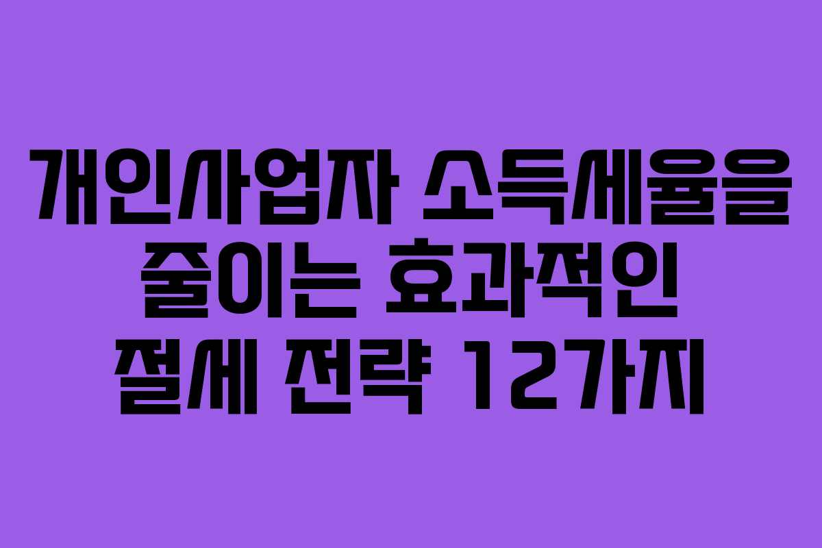 개인사업자 소득세율을 줄이는 효과적인 절세 전략 12가지