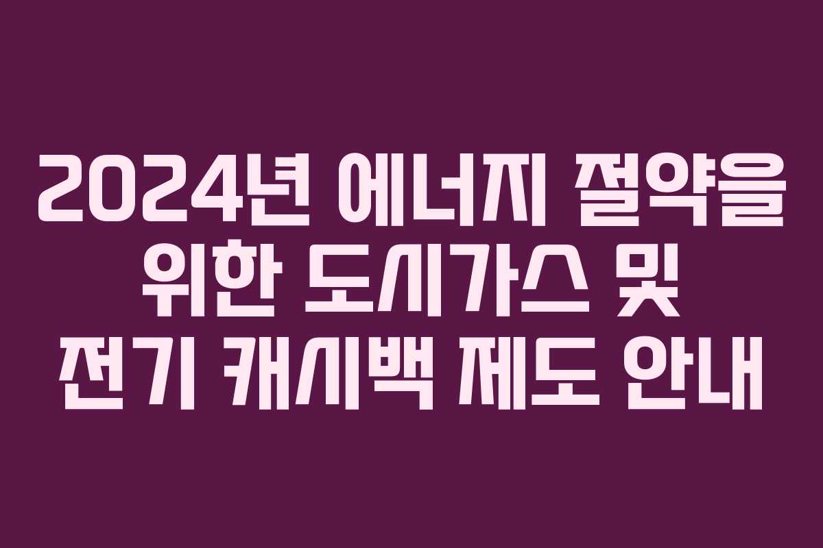 2024년 에너지 절약을 위한 도시가스 및 전기 캐시백 제도 안내