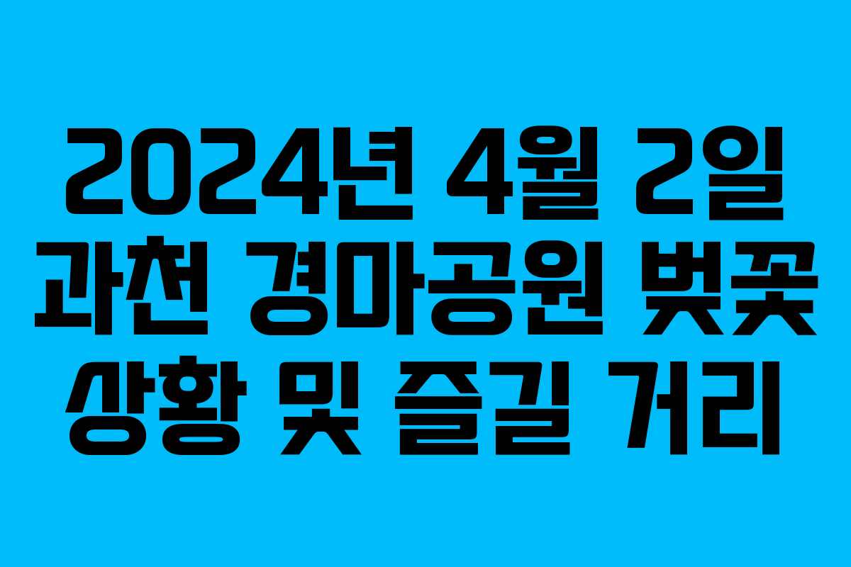 2024년 4월 2일 과천 경마공원 벚꽃 상황 및 즐길 거리