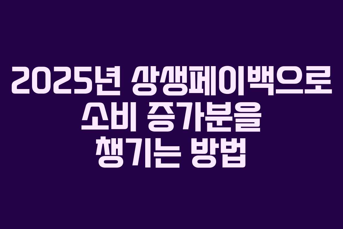 2025년 상생페이백으로 소비 증가분을 챙기는 방법
