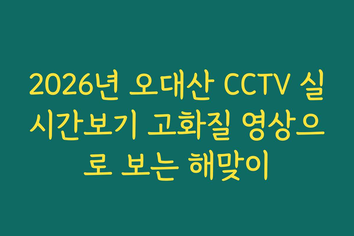 2026년 오대산 CCTV 실시간보기 고화질 영상으로 보는 해맞이