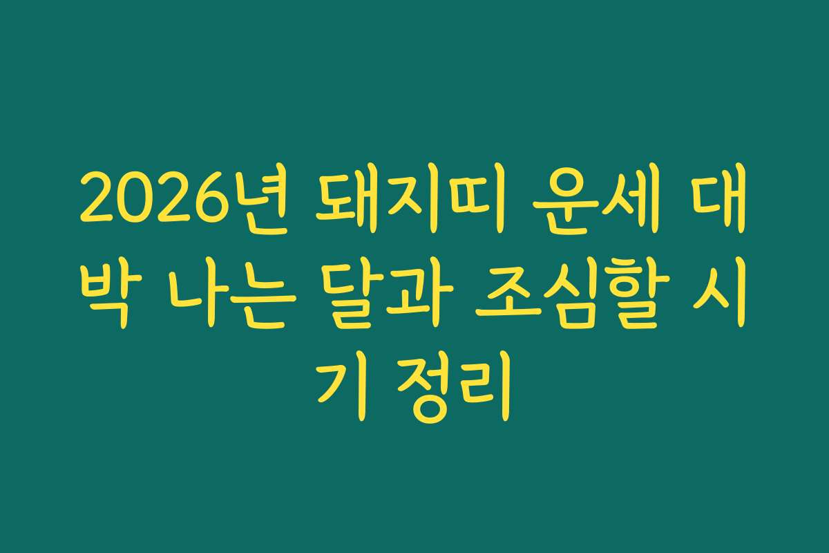 2026년 돼지띠 운세 대박 나는 달과 조심할 시기 정리