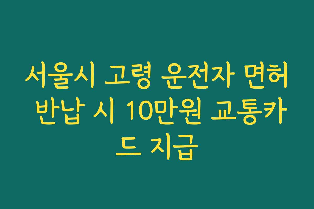 서울시 고령 운전자 면허 반납 시 10만원 교통카드 지급