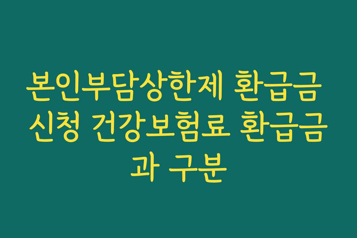 본인부담상한제 환급금 신청 건강보험료 환급금과 구분