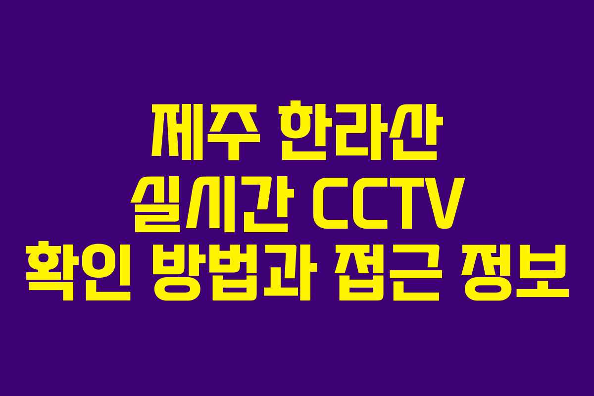 제주 한라산 실시간 CCTV 확인 방법과 접근 정보