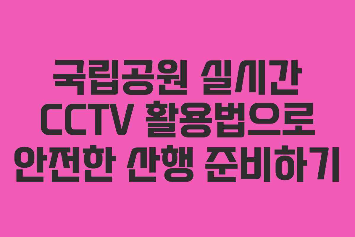 국립공원 실시간 CCTV 활용법으로 안전한 산행 준비하기