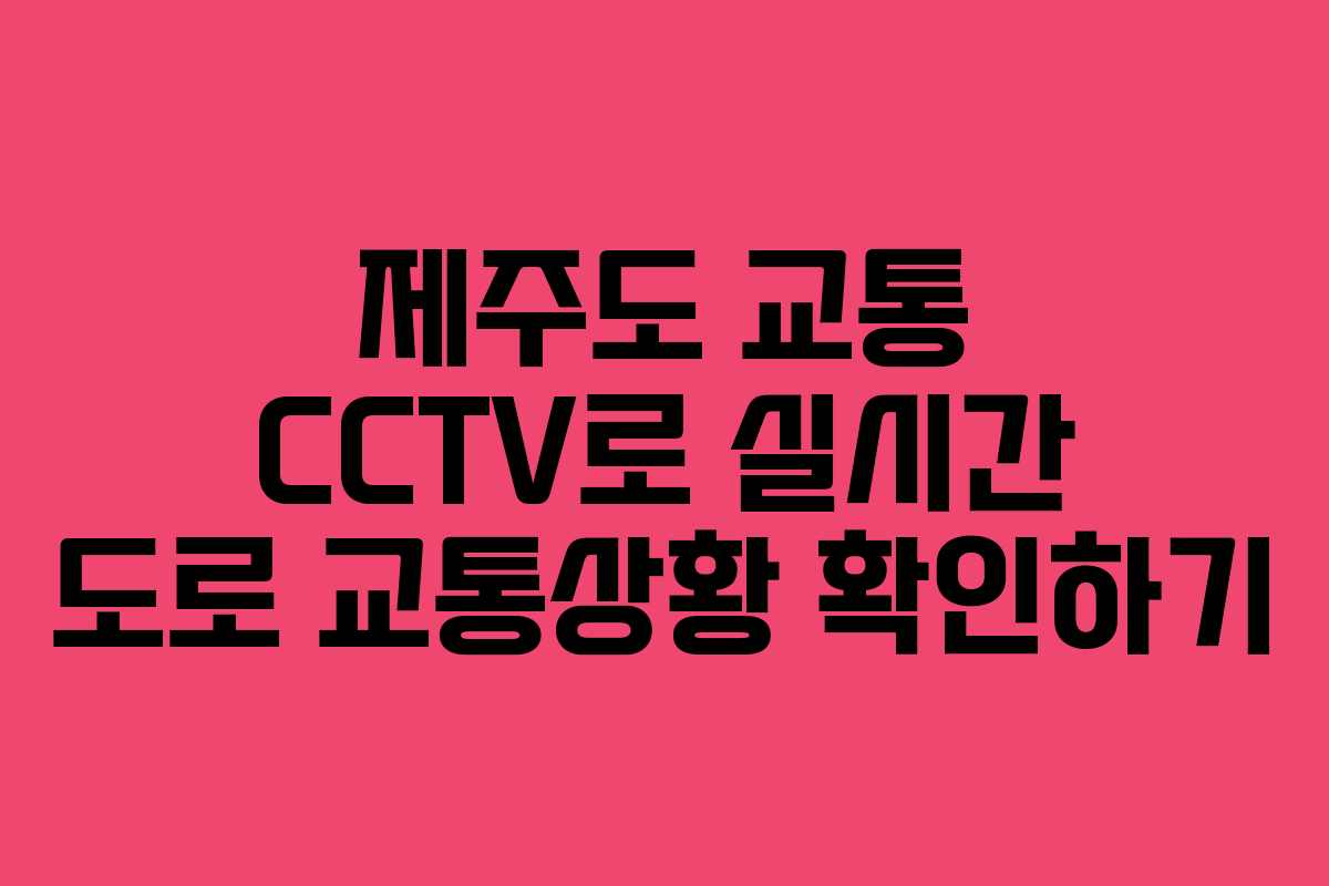 제주도 교통 CCTV로 실시간 도로 교통상황 확인하기