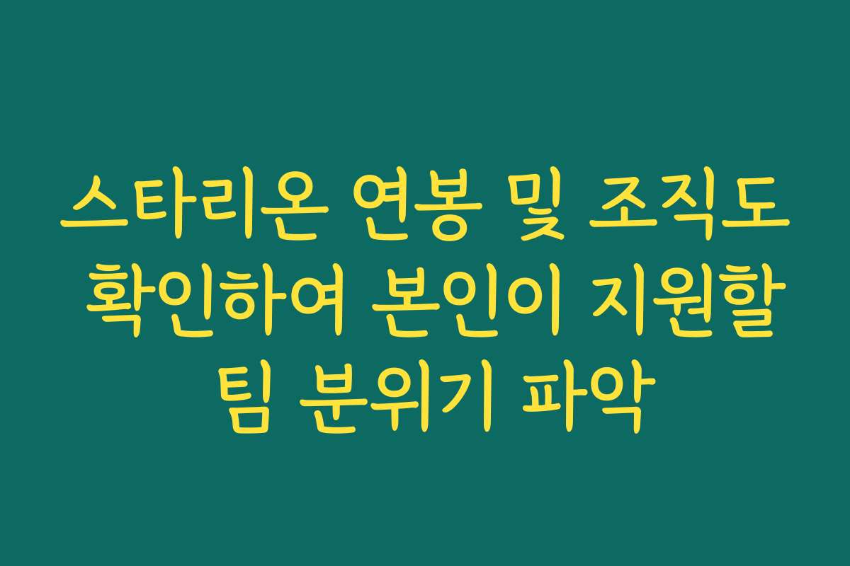 스타리온 연봉 및 조직도 확인하여 본인이 지원할 팀 분위기 파악
