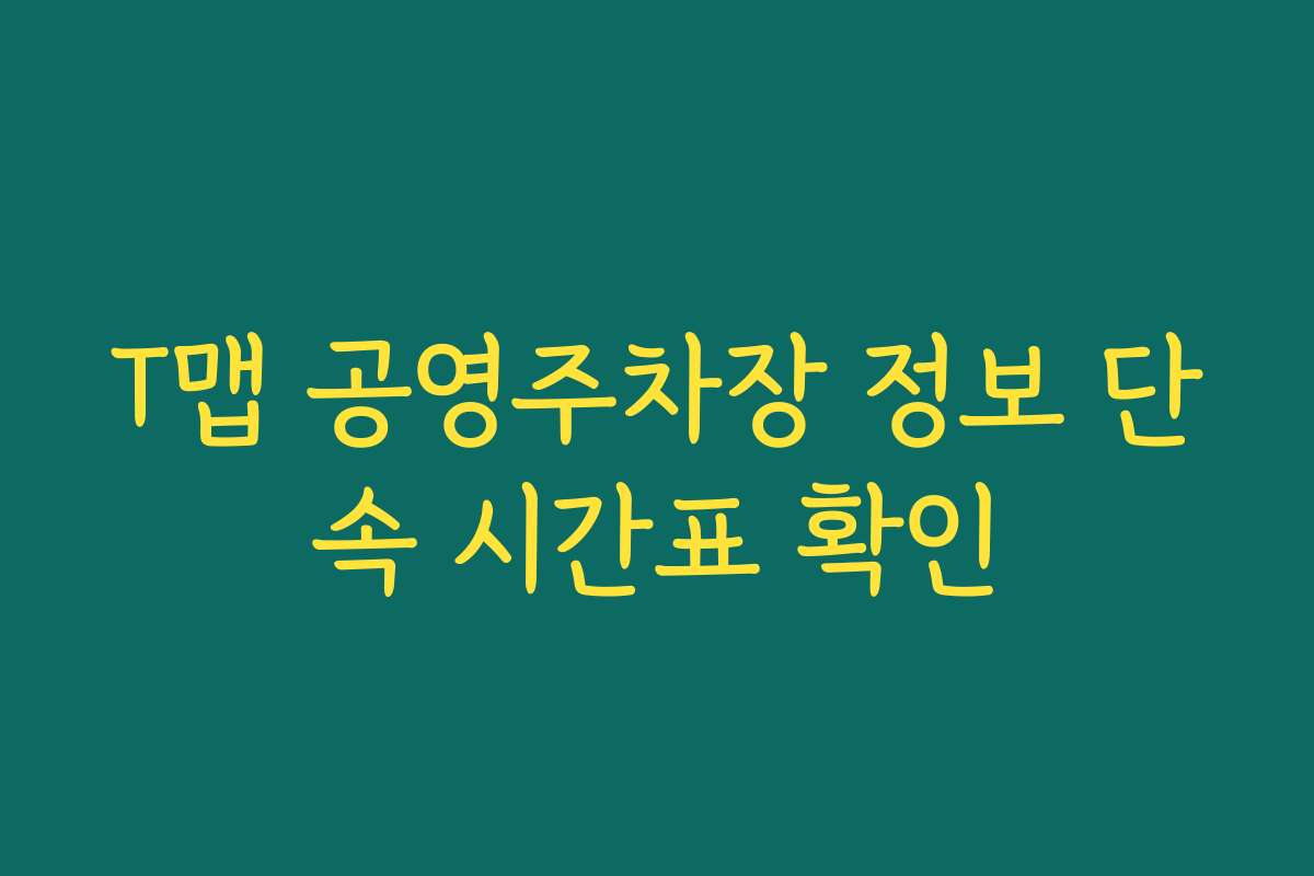T맵 공영주차장 정보 단속 시간표 확인