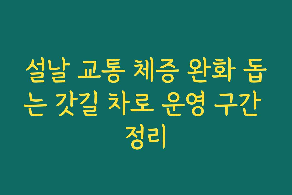 설날 교통 체증 완화 돕는 갓길 차로 운영 구간 정리