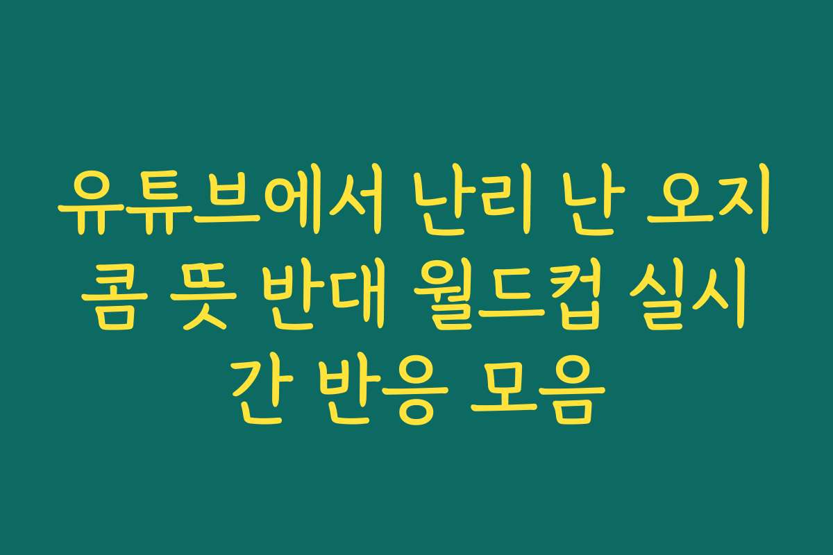 유튜브에서 난리 난 오지콤 뜻 반대 월드컵 실시간 반응 모음