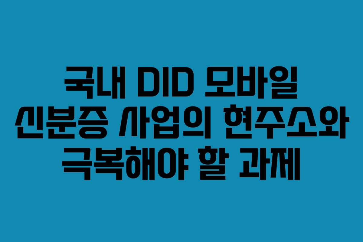 국내 DID 모바일 신분증 사업의 현주소와 극복해야 할 과제