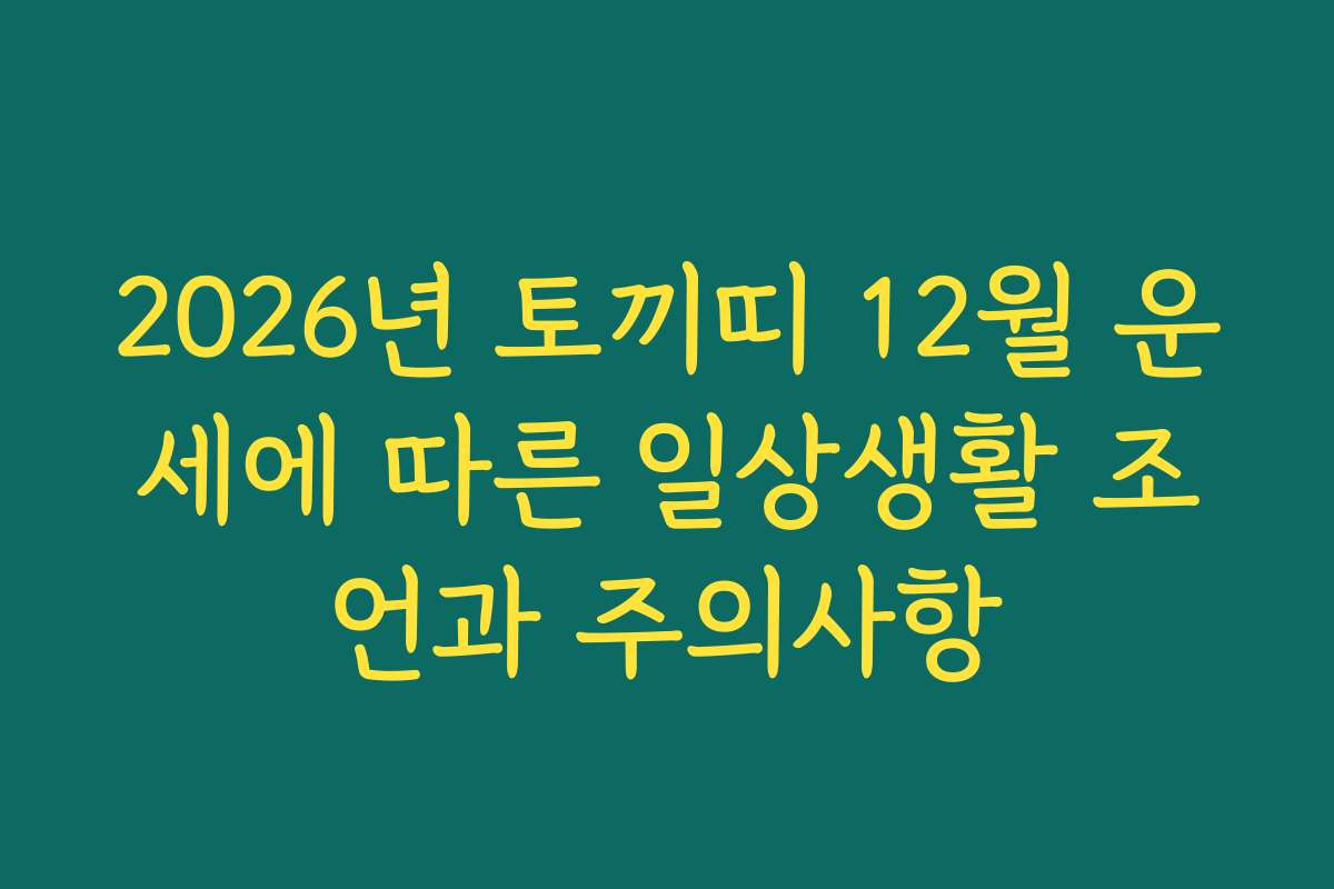 2026년 토끼띠 12월 운세에 따른 일상생활 조언과 주의사항