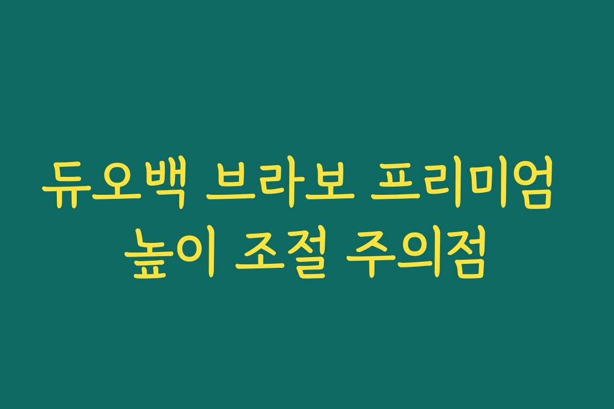 듀오백 브라보 프리미엄 높이 조절 주의점