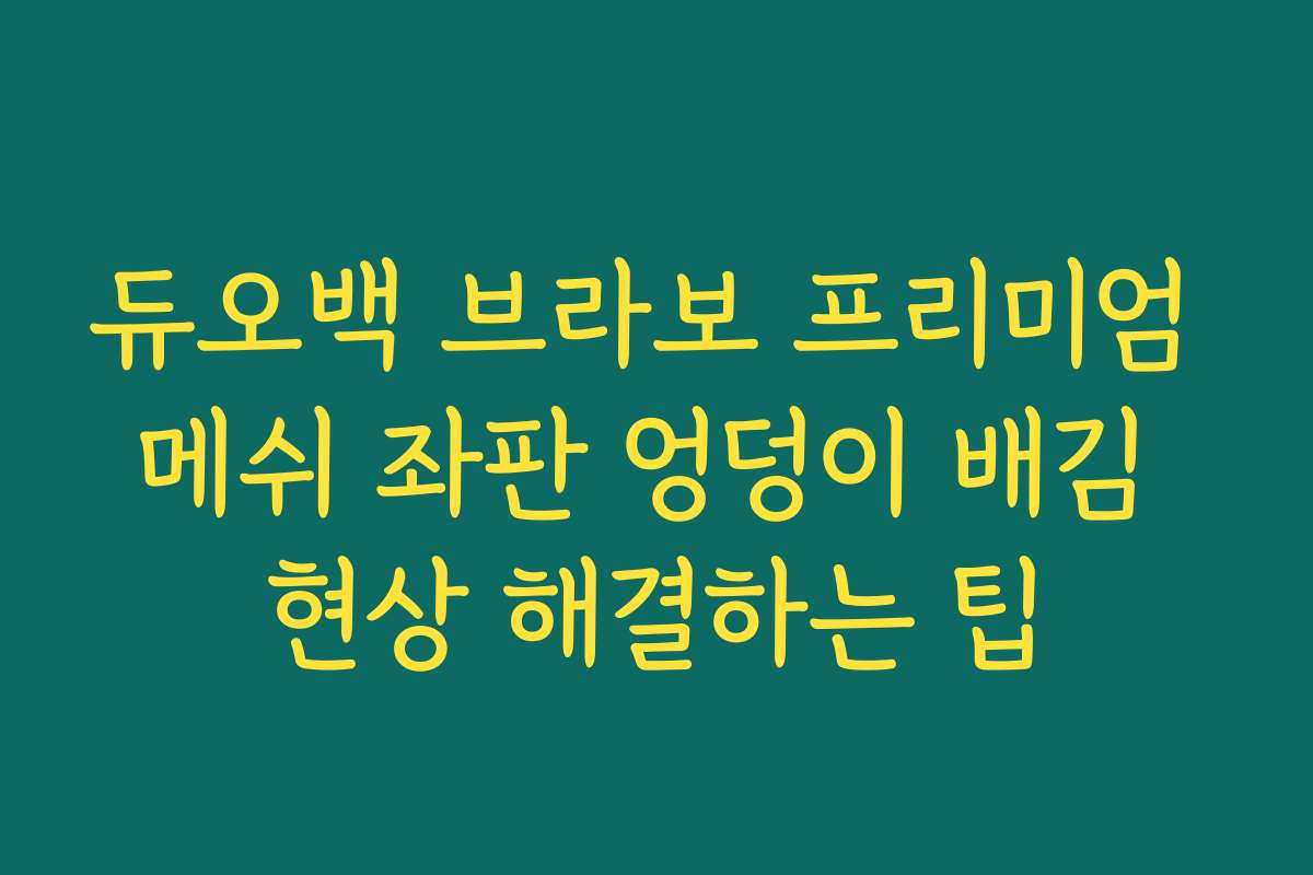 듀오백 브라보 프리미엄 메쉬 좌판 엉덩이 배김 현상 해결하는 팁