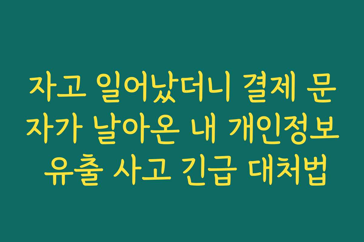 자고 일어났더니 결제 문자가 날아온 내 개인정보 유출 사고 긴급 대처법