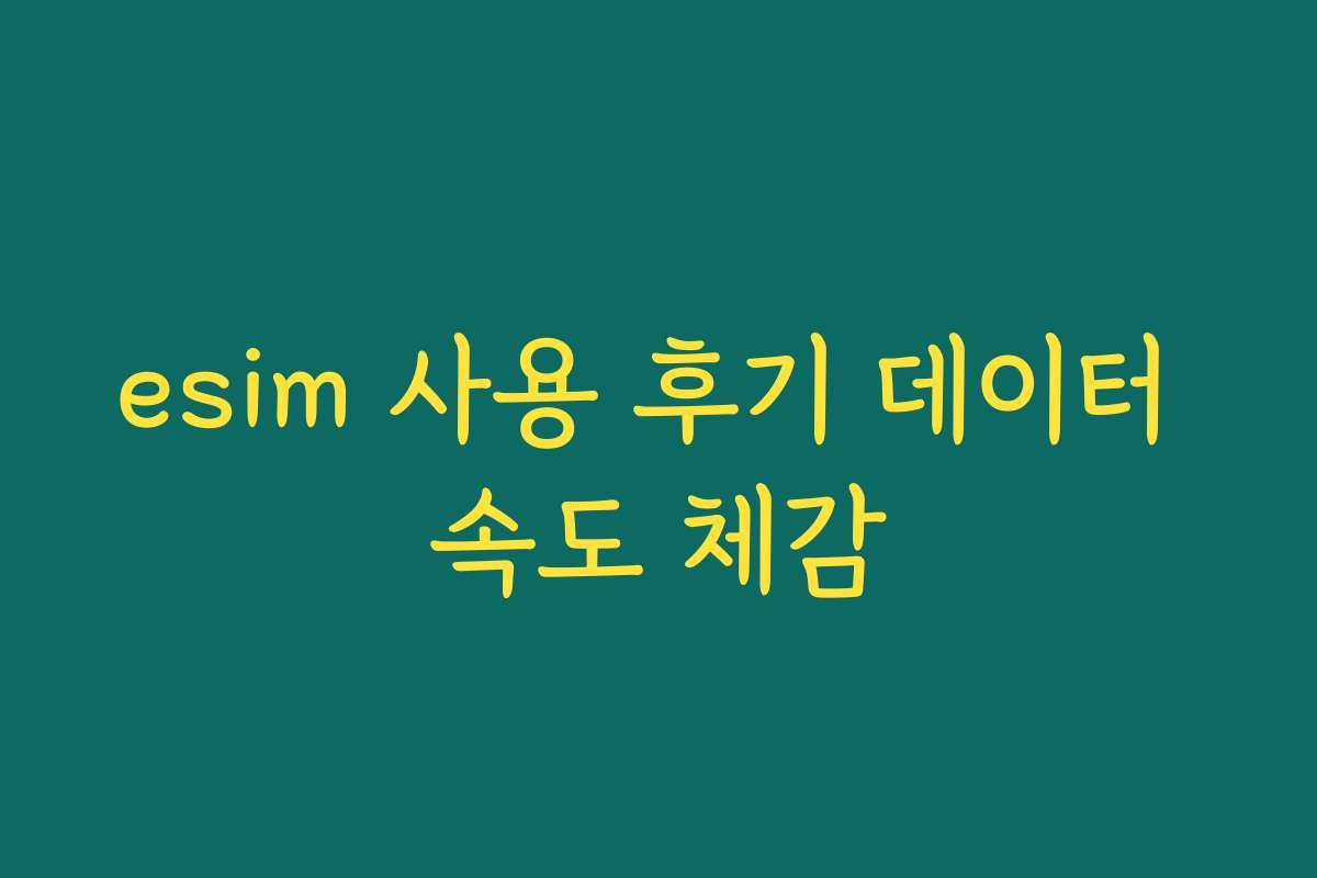 esim 사용 후기 데이터 속도 체감