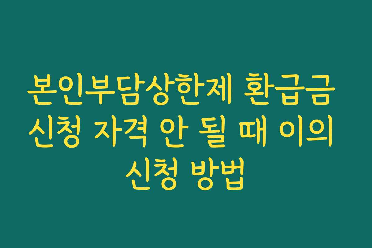본인부담상한제 환급금 신청 자격 안 될 때 이의 신청 방법