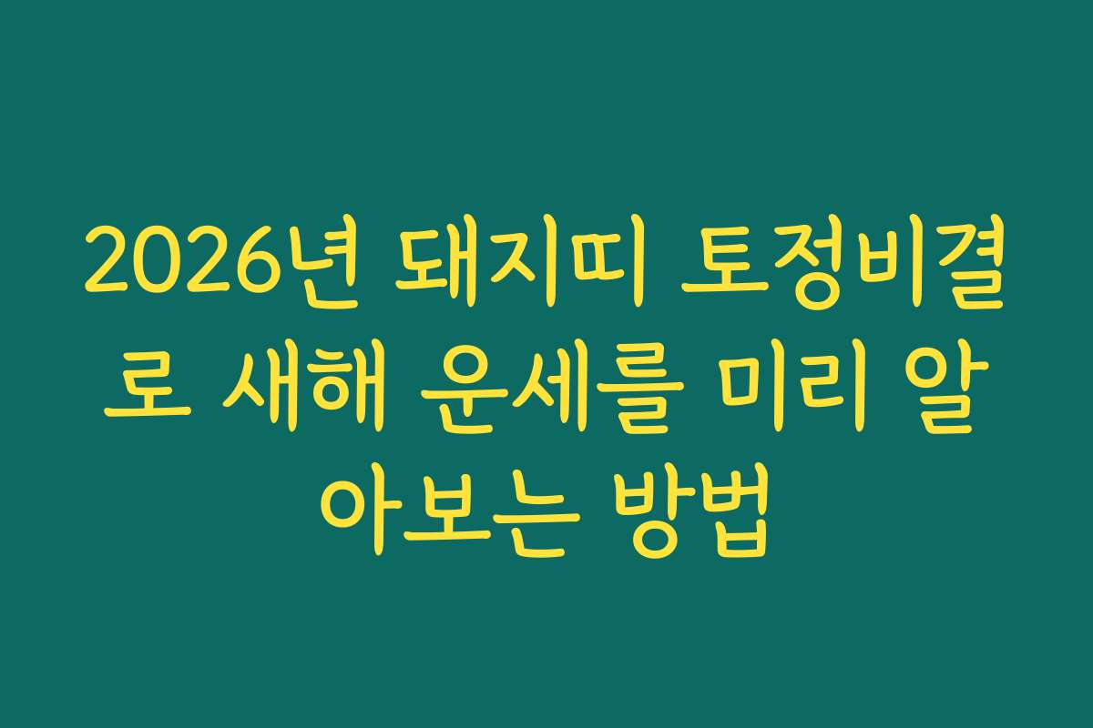 2026년 돼지띠 토정비결로 새해 운세를 미리 알아보는 방법