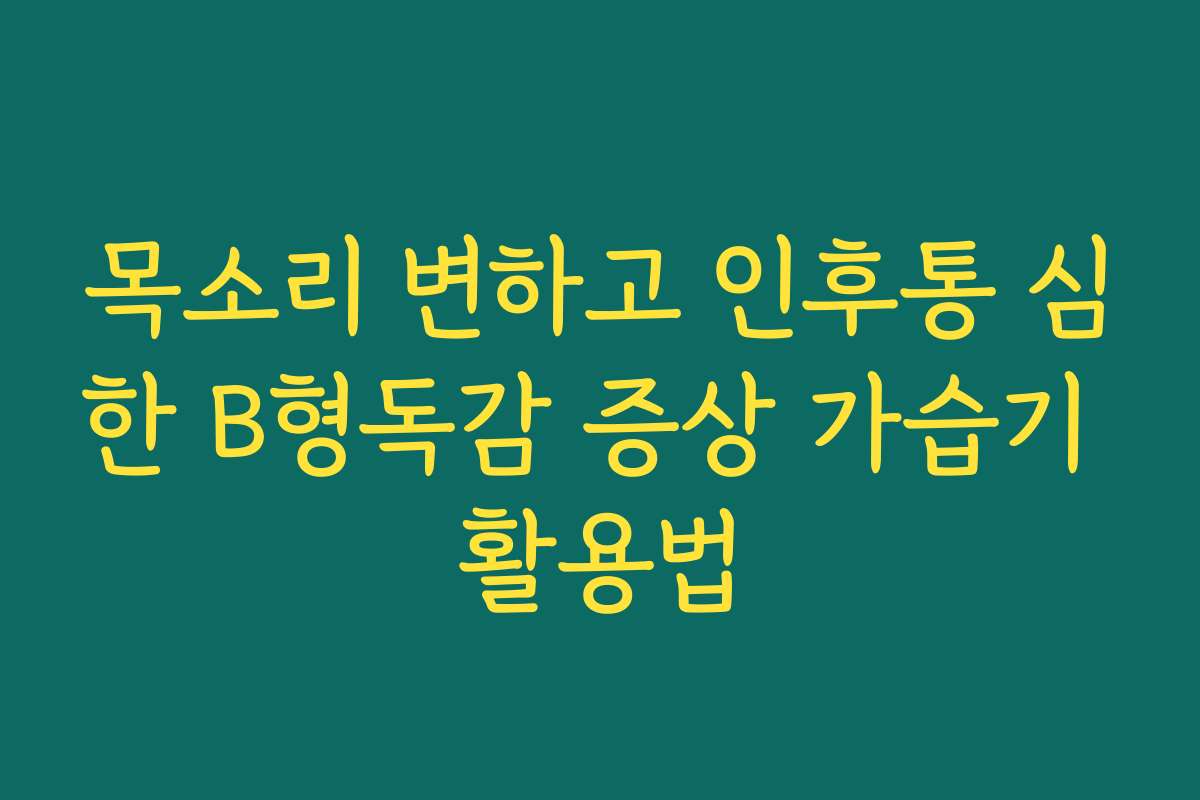 목소리 변하고 인후통 심한 B형독감 증상 가습기 활용법