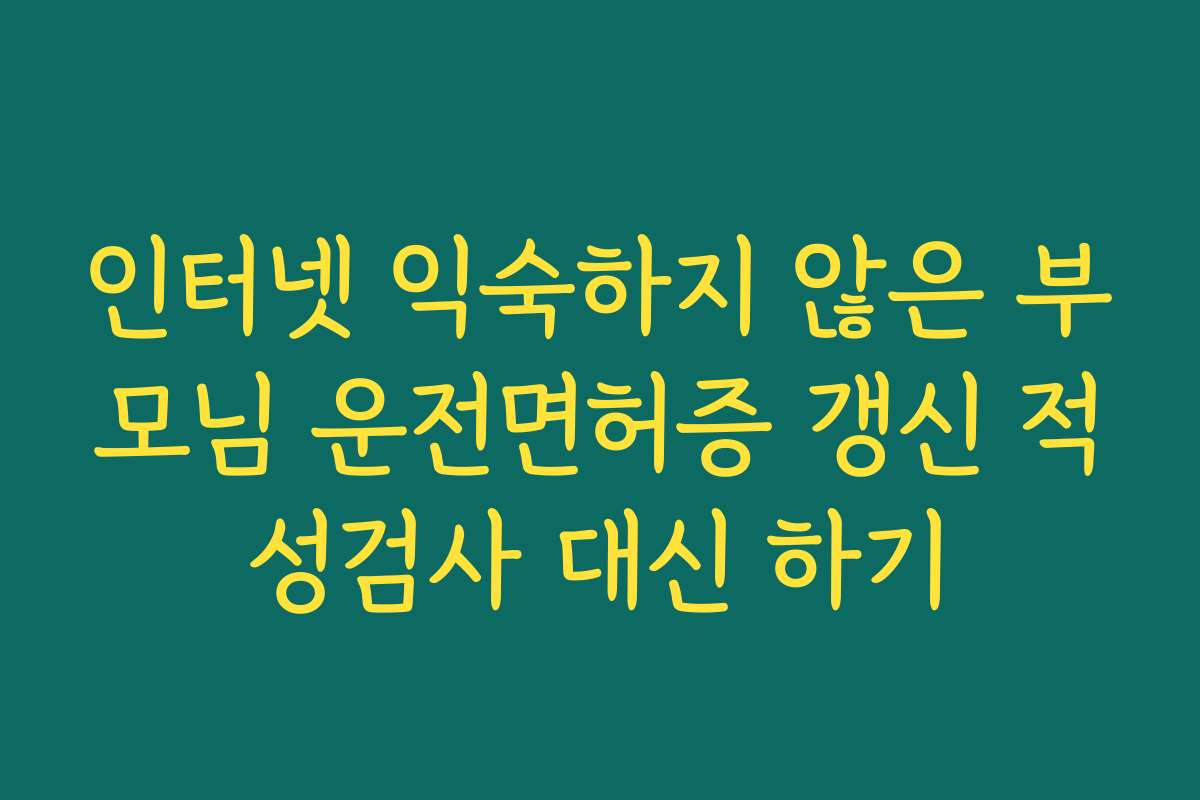 인터넷 익숙하지 않은 부모님 운전면허증 갱신 적성검사 대신 하기