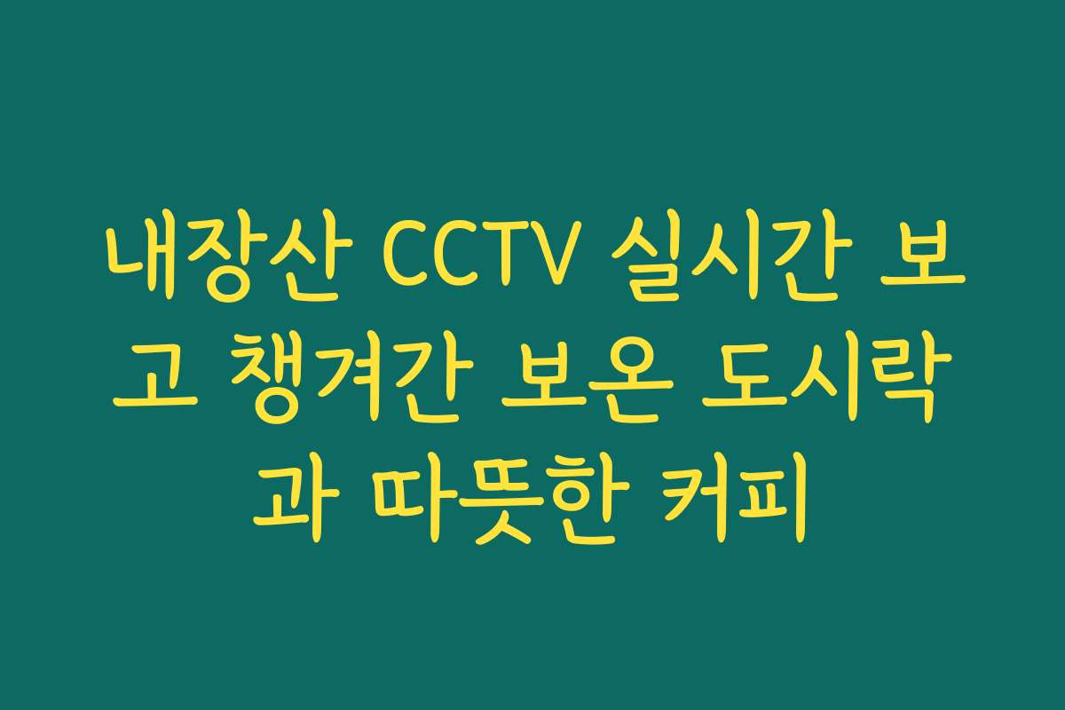 내장산 CCTV 실시간 보고 챙겨간 보온 도시락과 따뜻한 커피