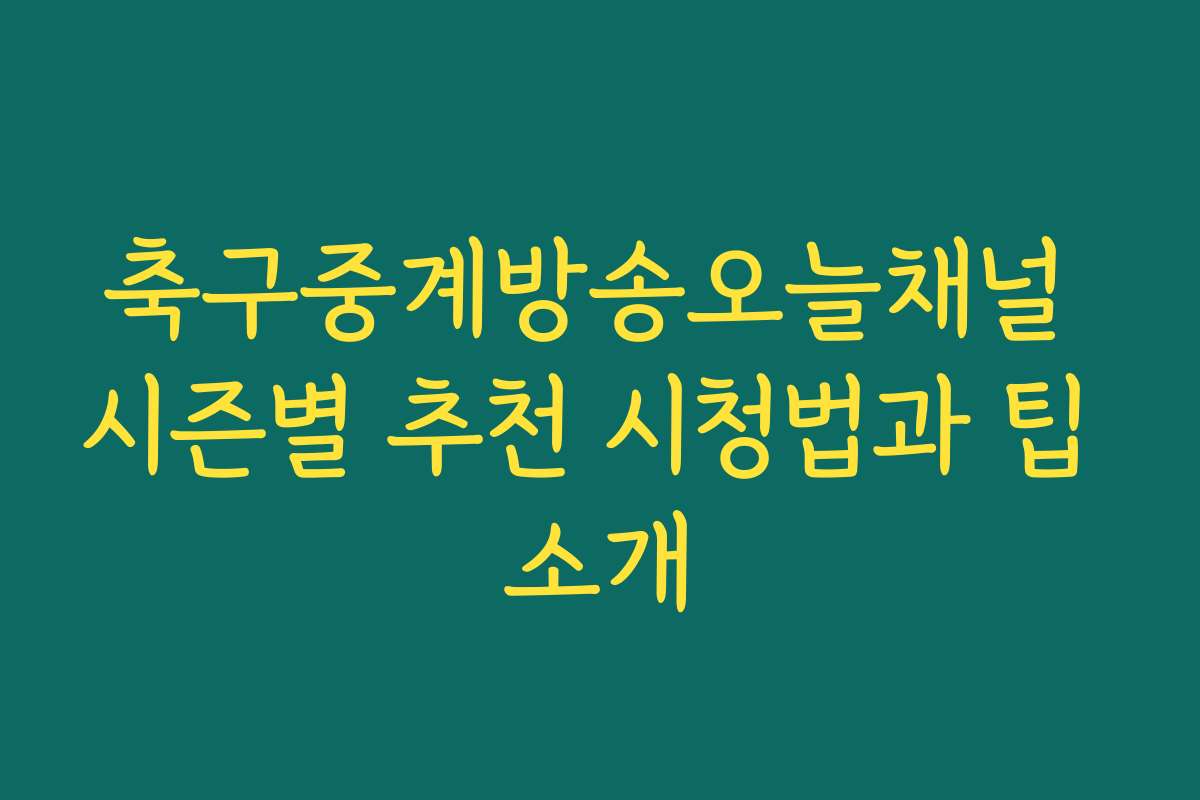 축구중계방송오늘채널 시즌별 추천 시청법과 팁 소개