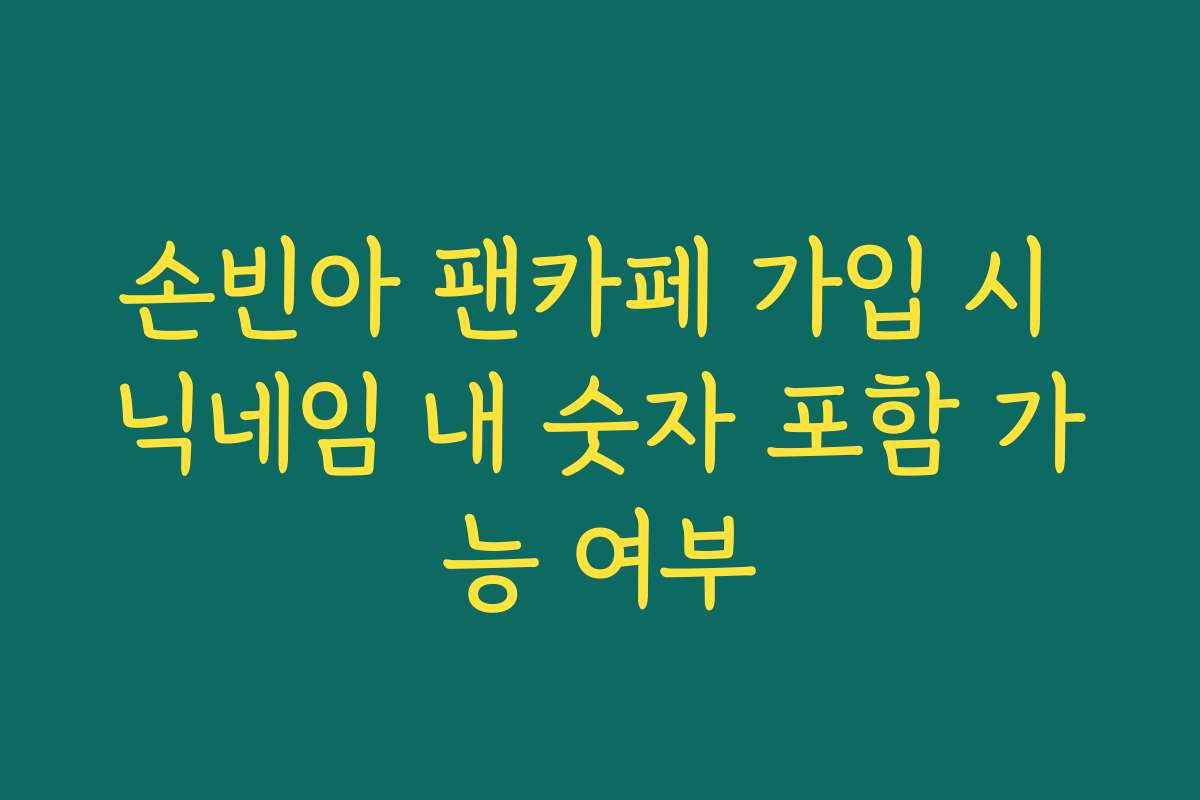 손빈아 팬카페 가입 시 닉네임 내 숫자 포함 가능 여부
