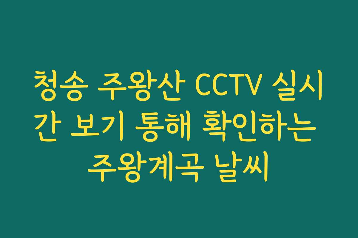 청송 주왕산 CCTV 실시간 보기 통해 확인하는 주왕계곡 날씨