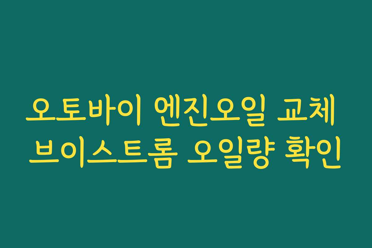 오토바이 엔진오일 교체 브이스트롬 오일량 확인