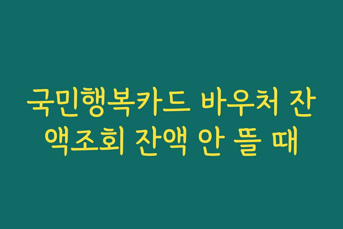 국민행복카드 바우처 잔액조회 잔액 안 뜰 때