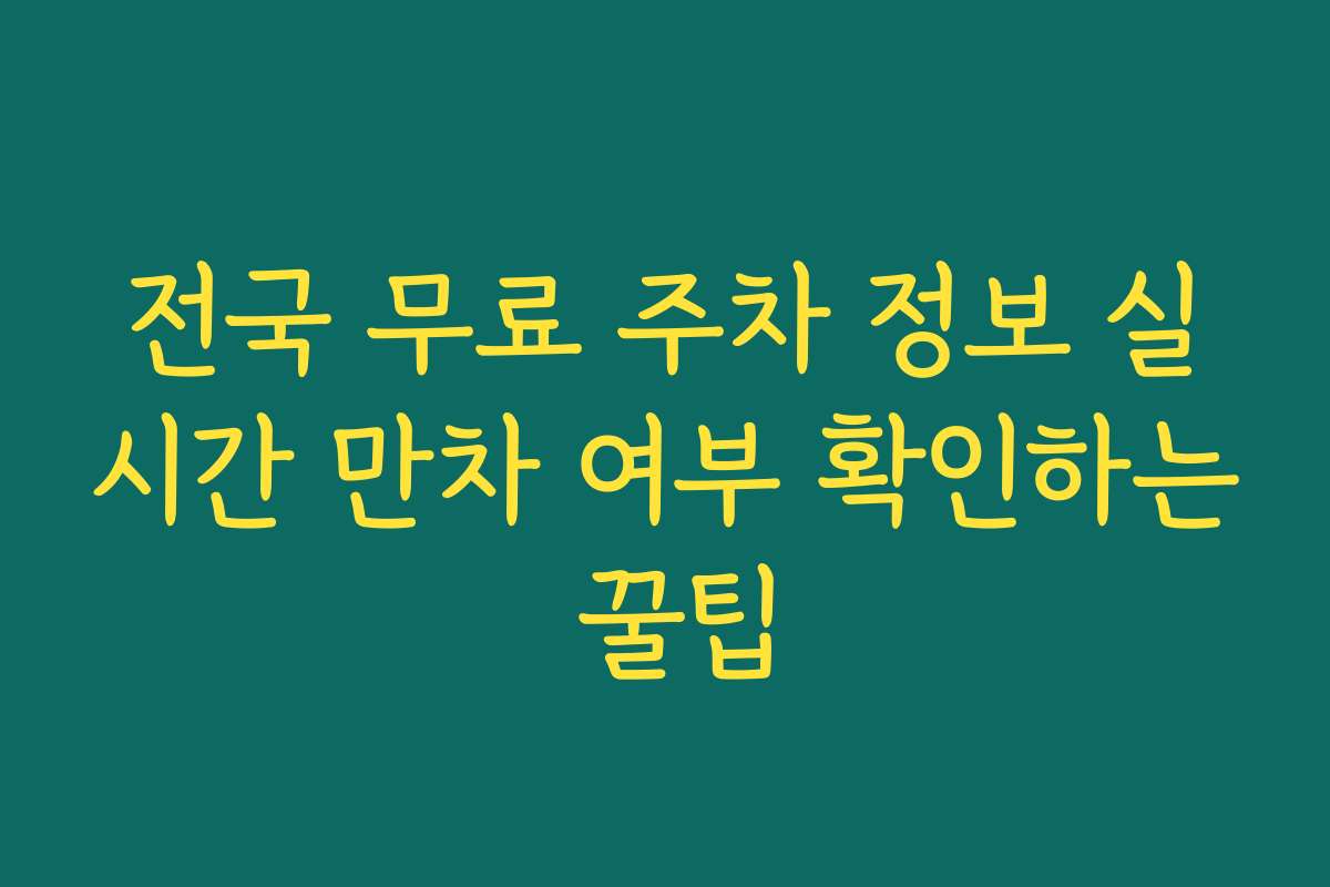 전국 무료 주차 정보 실시간 만차 여부 확인하는 꿀팁