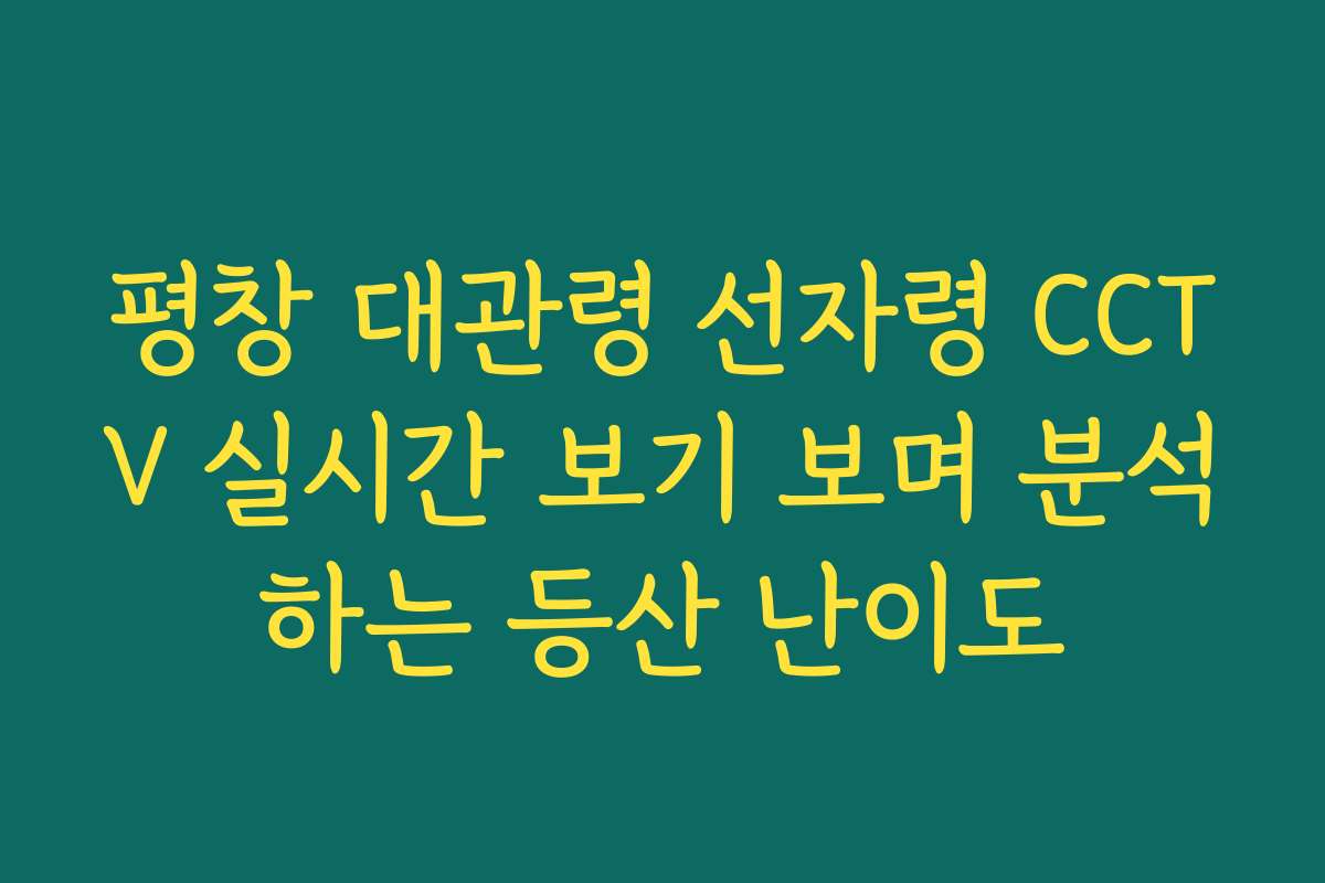 평창 대관령 선자령 CCTV 실시간 보기 보며 분석하는 등산 난이도