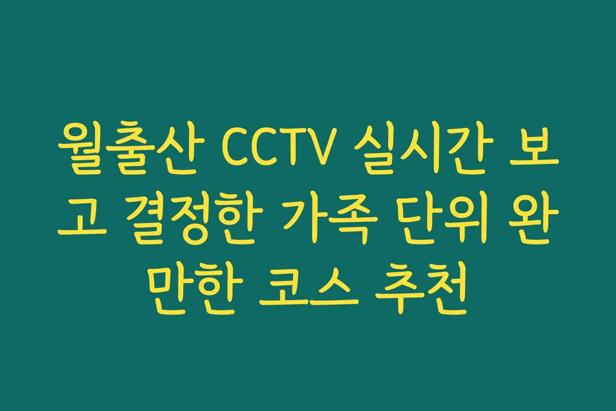월출산 CCTV 실시간 보고 결정한 가족 단위 완만한 코스 추천
