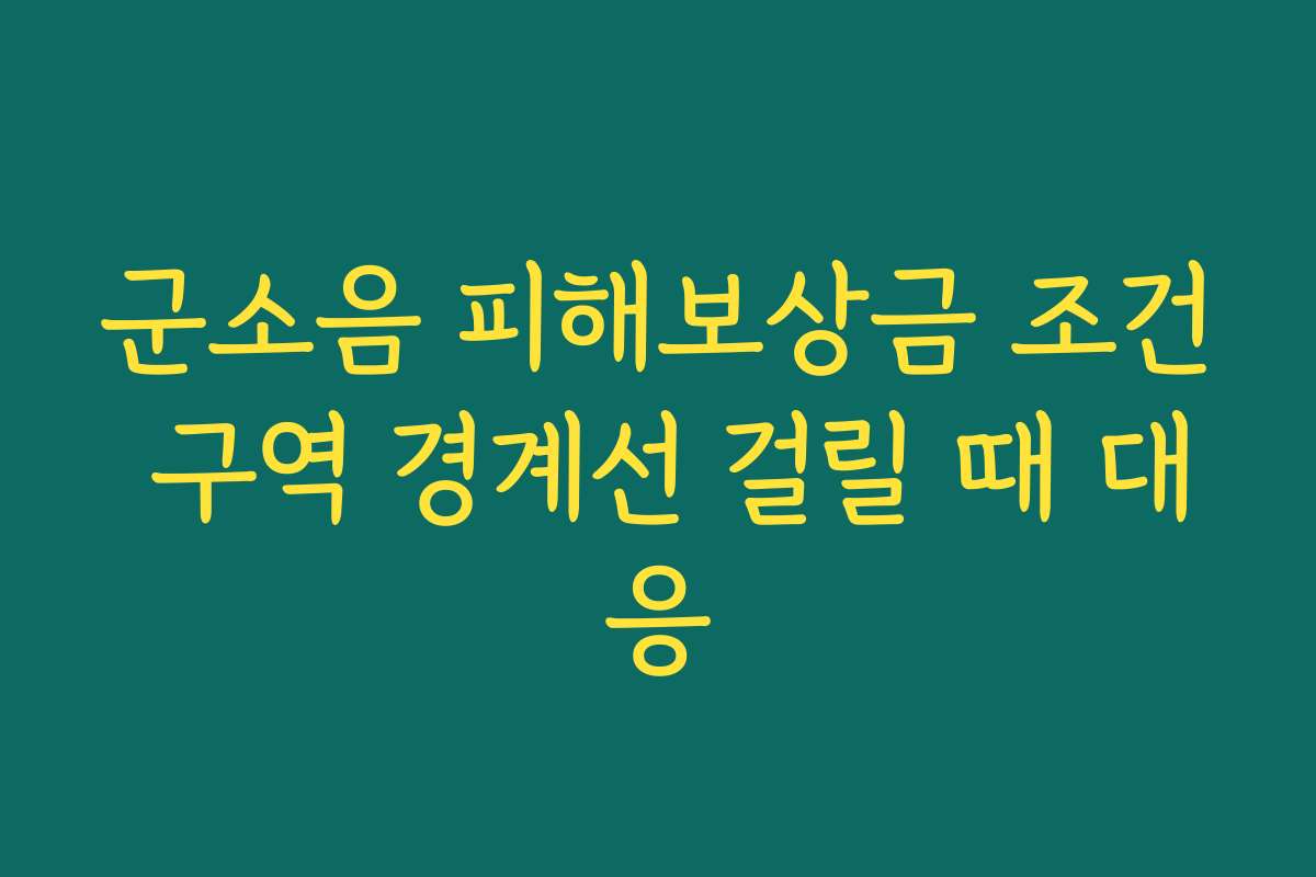 군소음 피해보상금 조건 구역 경계선 걸릴 때 대응