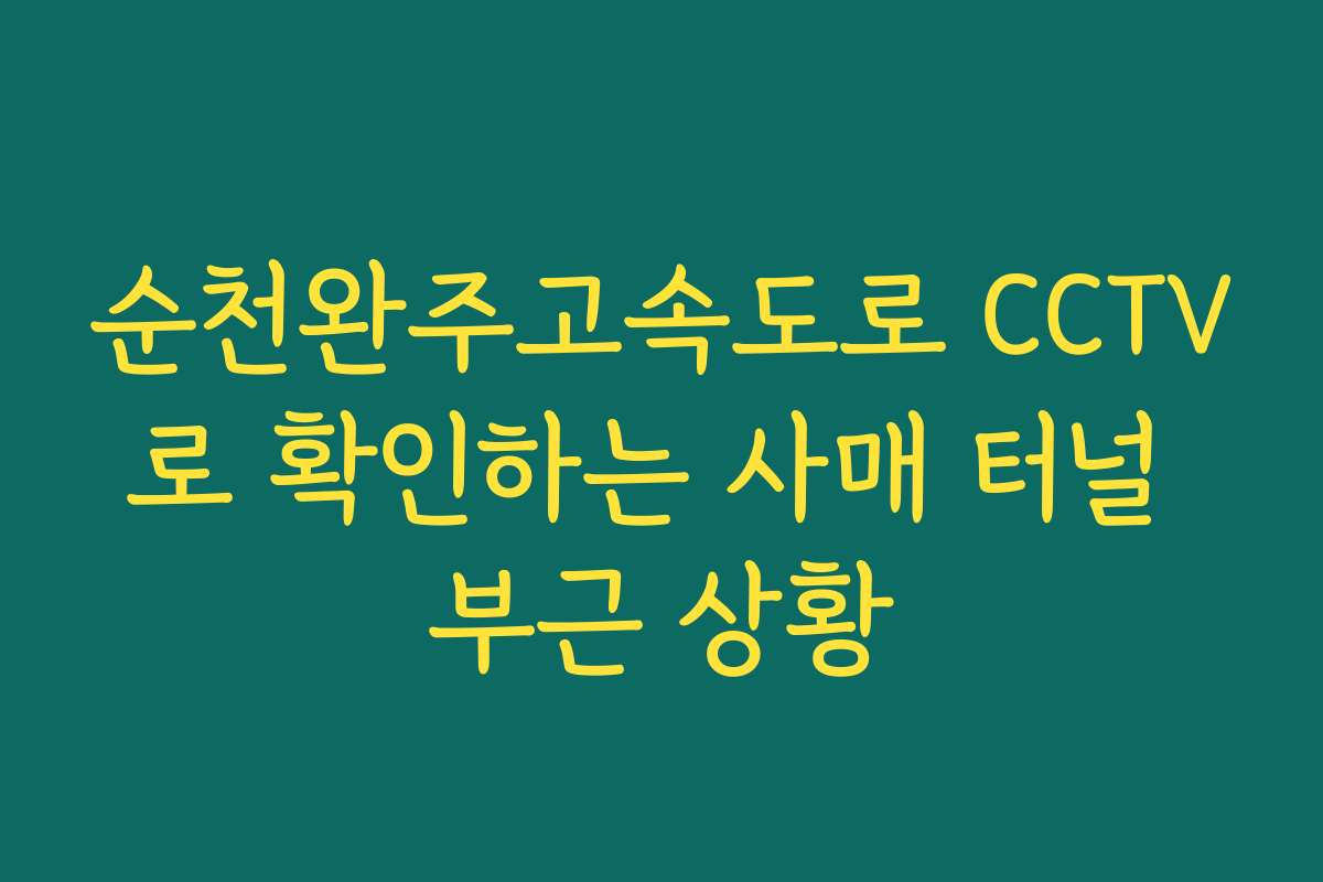 순천완주고속도로 CCTV로 확인하는 사매 터널 부근 상황