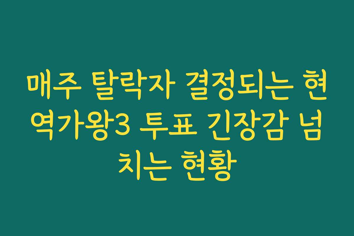 매주 탈락자 결정되는 현역가왕3 투표 긴장감 넘치는 현황
