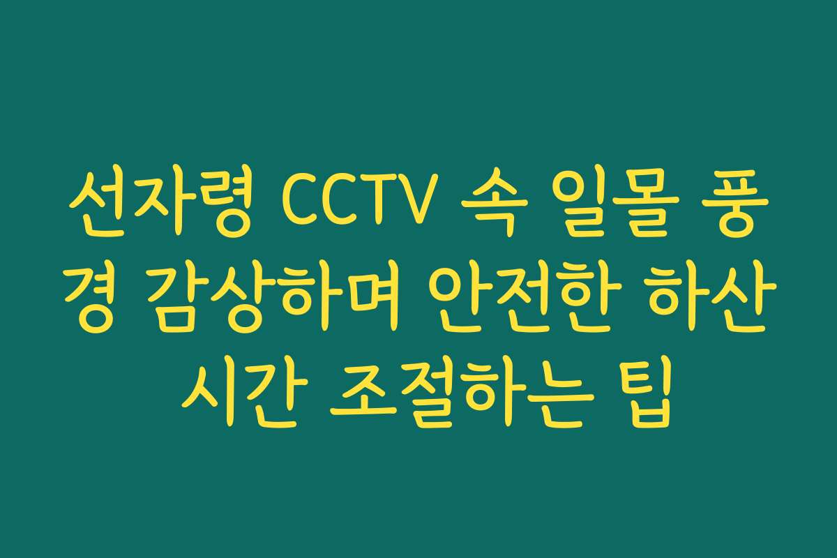 선자령 CCTV 속 일몰 풍경 감상하며 안전한 하산 시간 조절하는 팁