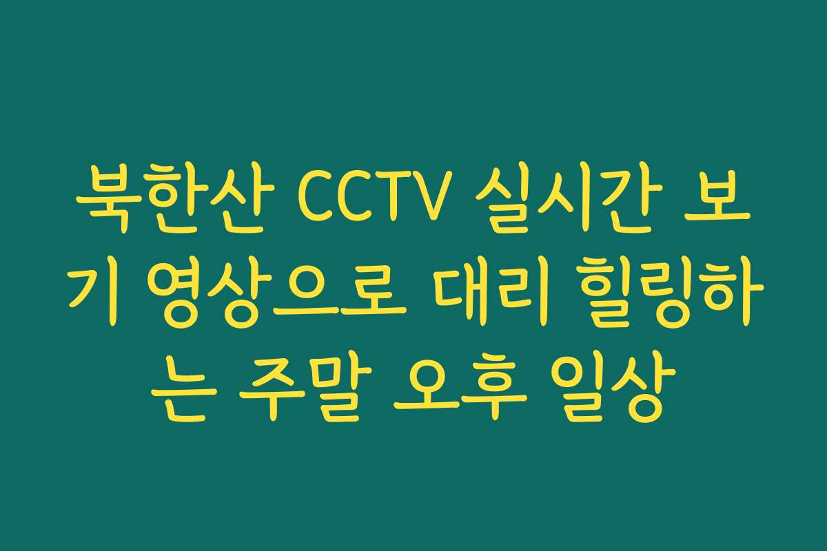 북한산 CCTV 실시간 보기 영상으로 대리 힐링하는 주말 오후 일상