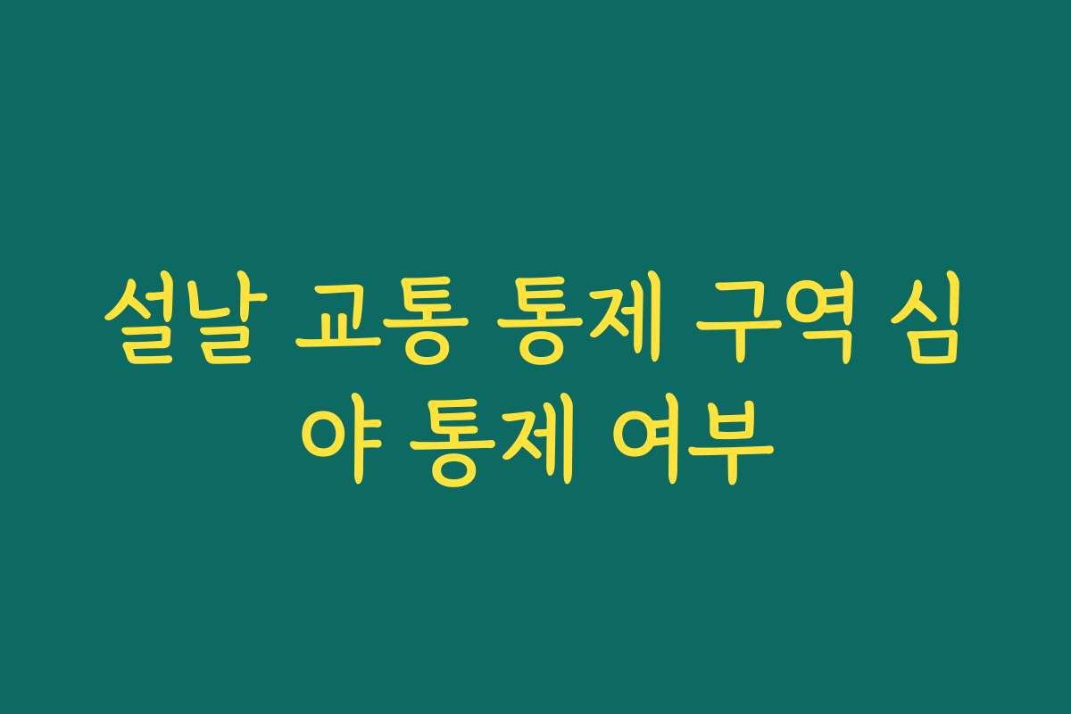 설날 교통 통제 구역 심야 통제 여부
