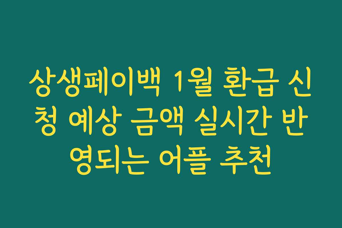 상생페이백 1월 환급 신청 예상 금액 실시간 반영되는 어플 추천
