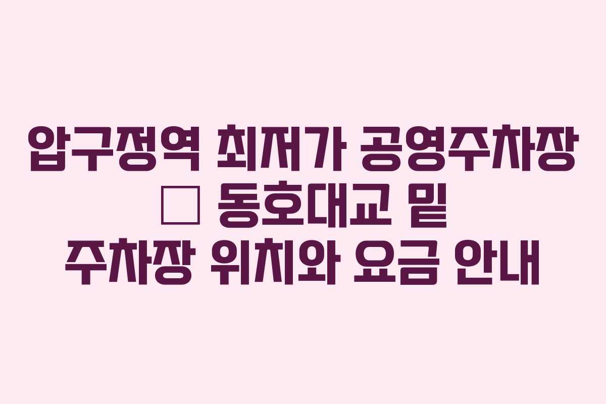 압구정역 최저가 공영주차장 – 동호대교 밑 주차장 위치와 요금 안내
