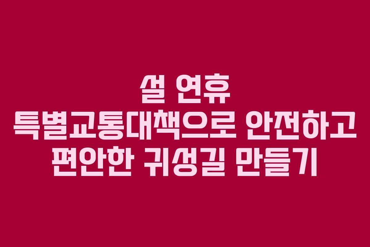 설 연휴 특별교통대책으로 안전하고 편안한 귀성길 만들기