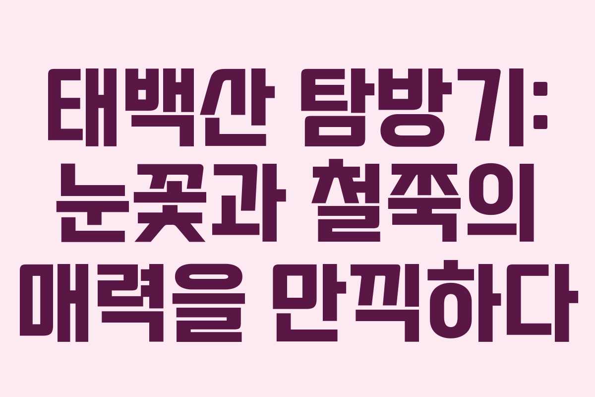 태백산 탐방기: 눈꽃과 철쭉의 매력을 만끽하다