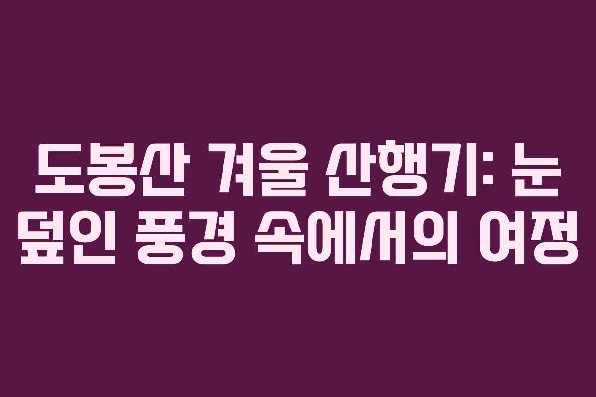 도봉산 겨울 산행기: 눈 덮인 풍경 속에서의 여정
