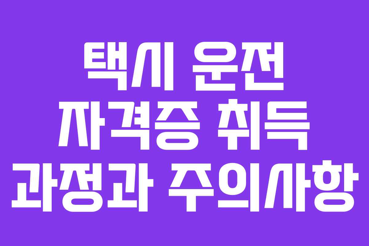 택시 운전 자격증 취득 과정과 주의사항