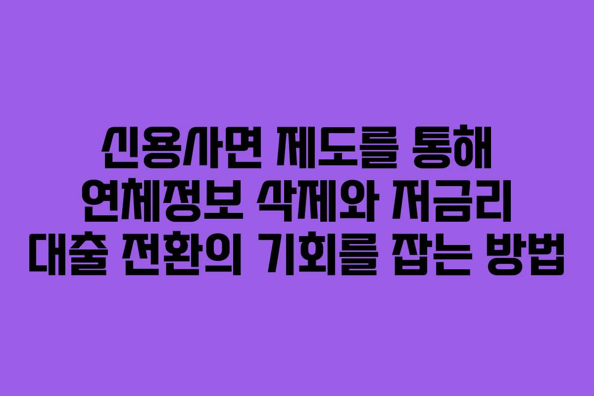 신용사면 제도를 통해 연체정보 삭제와 저금리 대출 전환의 기회를 잡는 방법